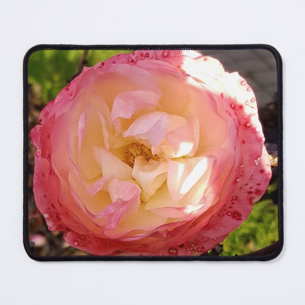 Item preview, Beautiful rose photography designed and sold by SpiritedArtwork.