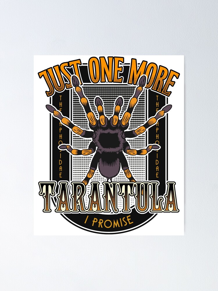 Funny Just One More Tarantula I Promise Gift Tshirts Funny Just One More Tarantula I Promise Gift Tshirts
