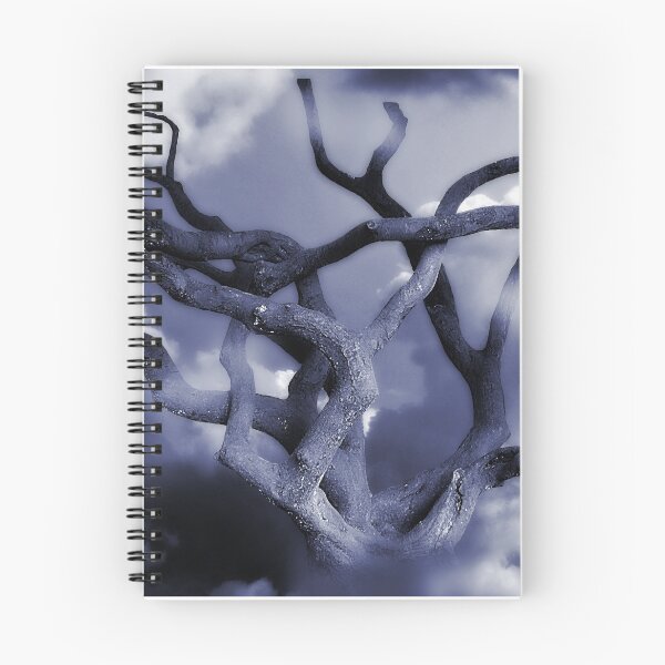 Item preview, Cold Beauty designed and sold by Christine Lake.