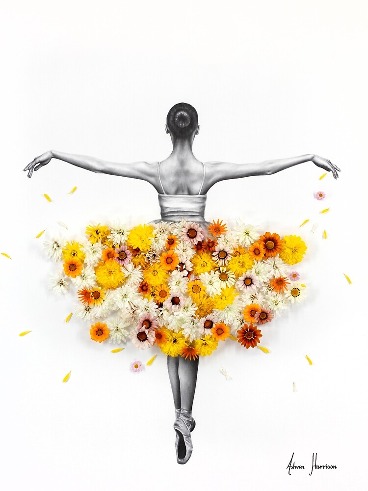Flower Ballerina by AshvinHarrison