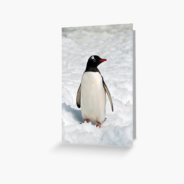 Item preview, Gentoo on Ice - small file designed and sold by Rosie Appleton.