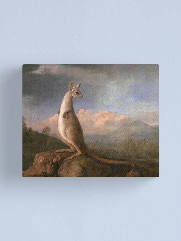 Alternate view of The Kongouro Oil Painting by Australian Artist George Stubbs Canvas Print