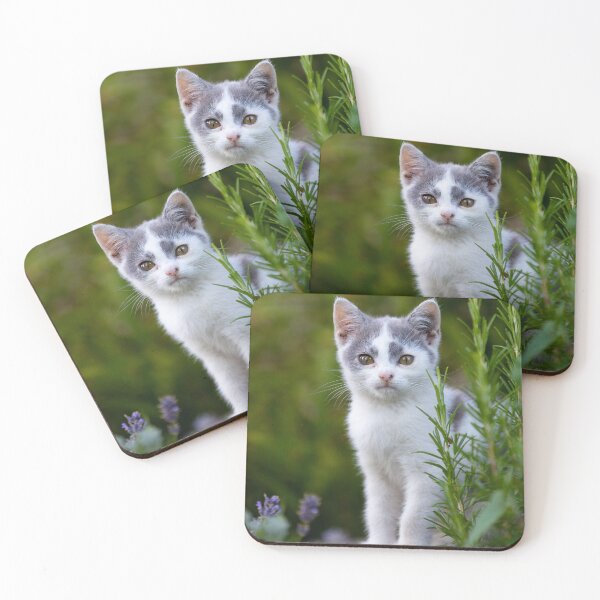Item preview, My little cat designed and sold by ART-SUNRISE.
