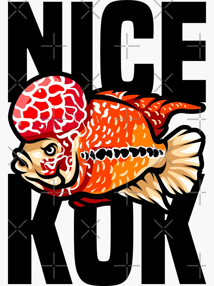 Nice Kok Funny Flowerhorn Cichlid Fish Keeper | Sticker