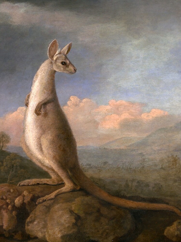 The Kongouro Oil Painting by Australian Artist George Stubbs by podartist