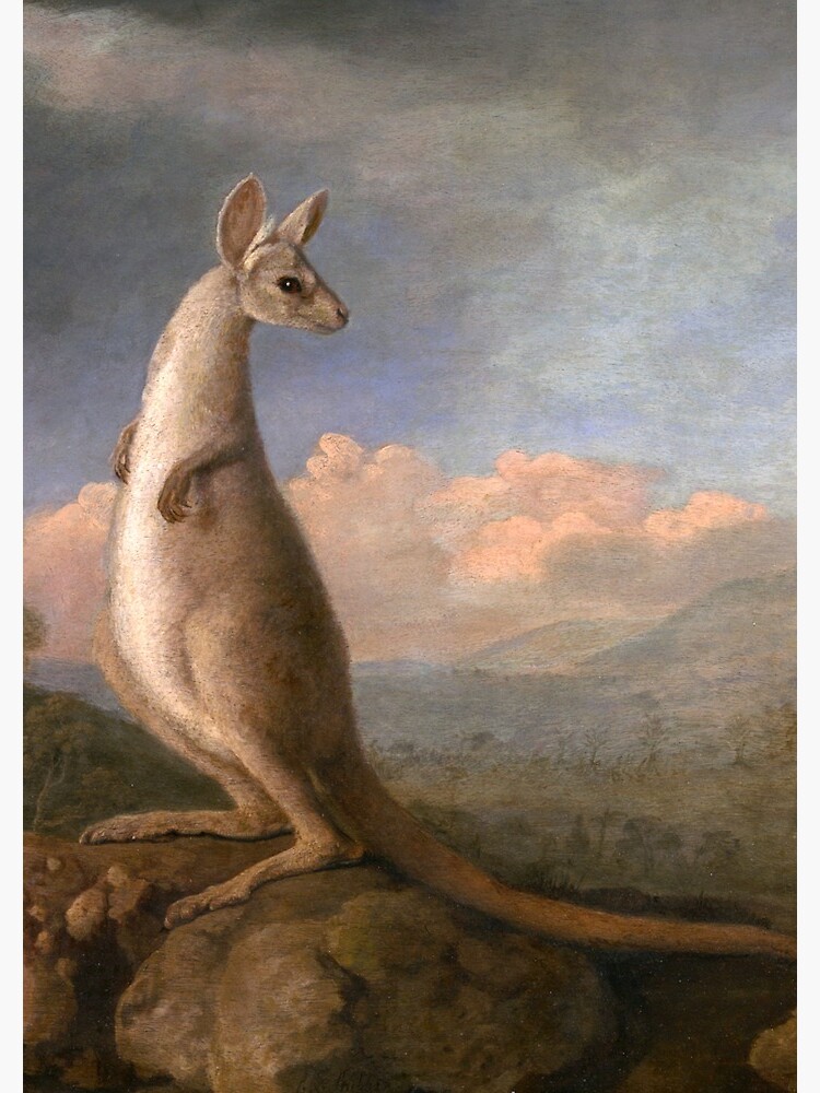 The Kongouro Oil Painting by Australian Artist George Stubbs by podartist
