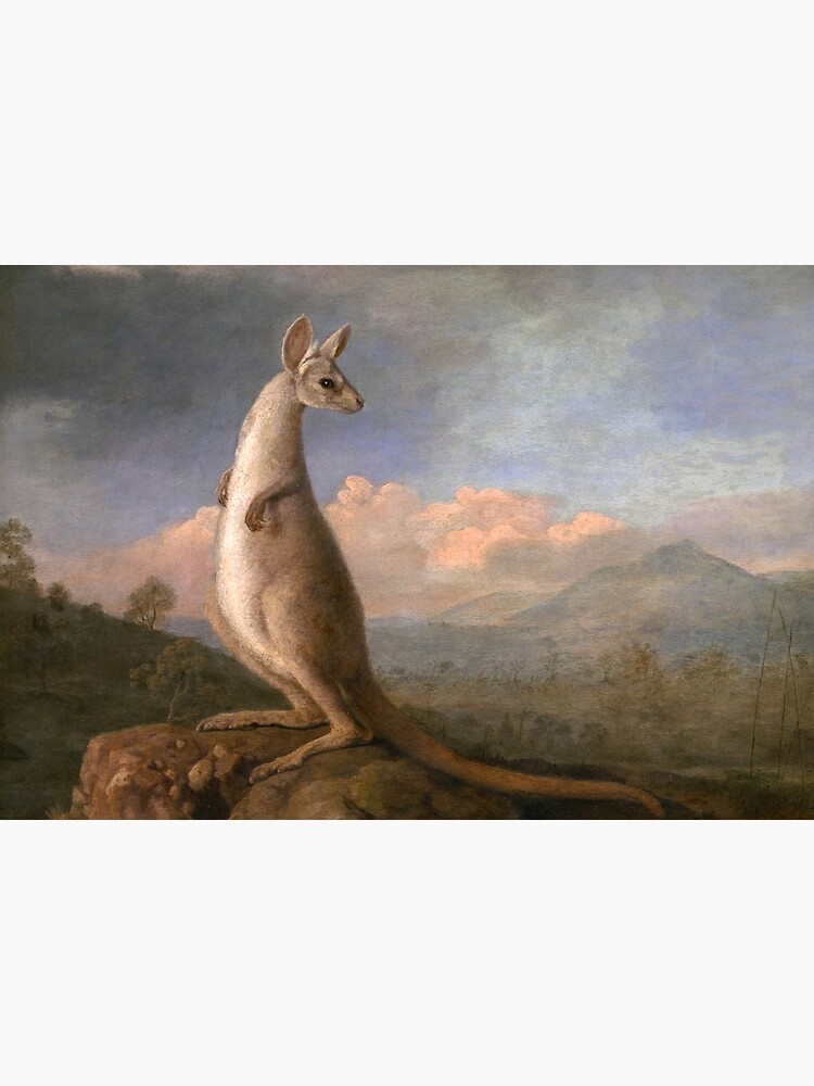 The Kongouro Oil Painting by Australian Artist George Stubbs by podartist