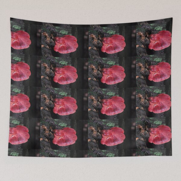 Item preview, Beefsteak Fungus. designed and sold by Billlee.