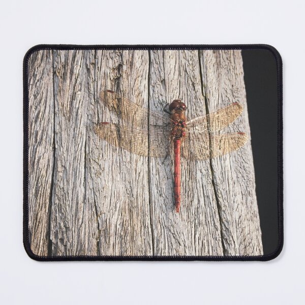 Item preview, Beautiful Red Dragonfly designed and sold by Ethem Eskil.