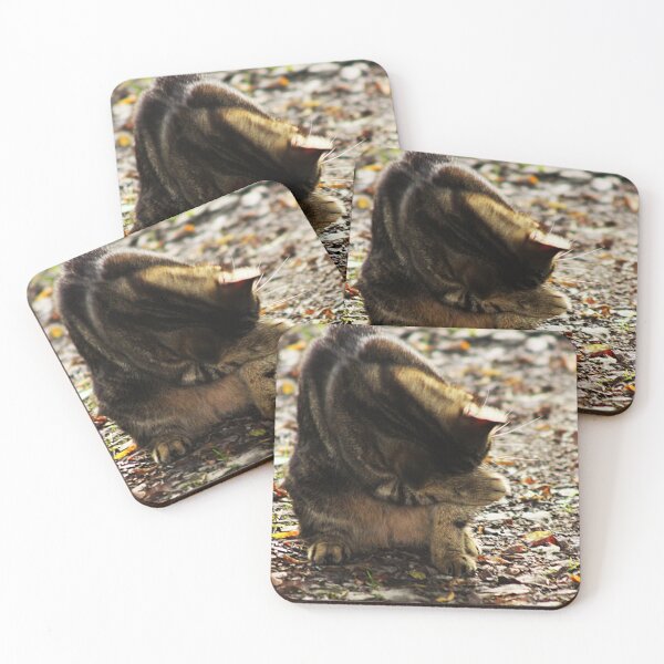 Item preview, tabby cat designed and sold by Francespoppy.
