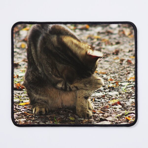 Item preview, tabby cat designed and sold by Francespoppy.