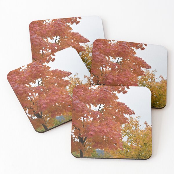 Item preview, Colorful trees in Burgenland designed and sold by Roland69.
