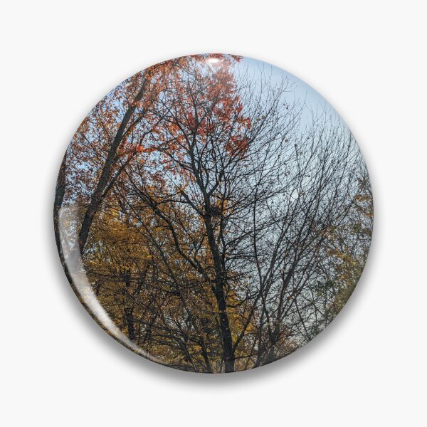 Item preview, Early Morning Sun in North Michigan Woods designed and sold by UPNortheren.