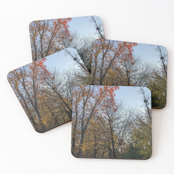 Item preview, Early Morning Sun in North Michigan Woods designed and sold by UPNortheren.
