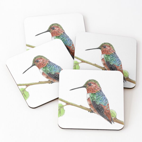 Item preview, Rufous Hummingbird designed and sold by Natasha  Lay.