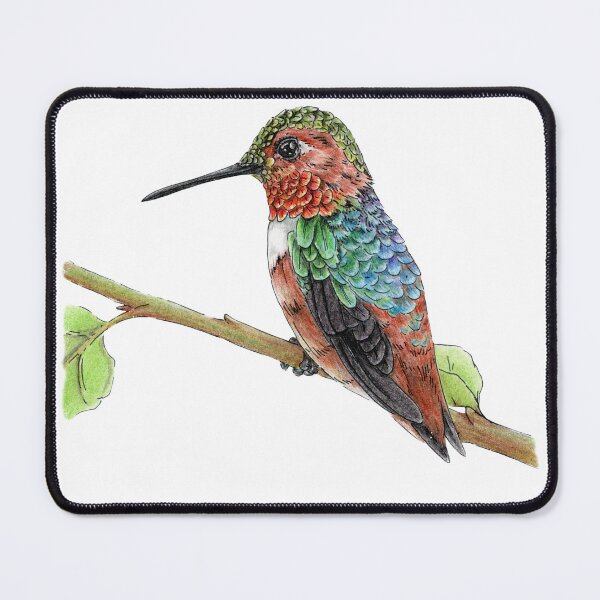 Item preview, Rufous Hummingbird designed and sold by Natasha  Lay.