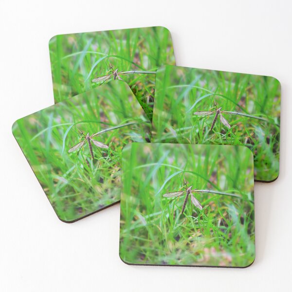 Item preview, Crane fly and grass designed and sold by Francespoppy.