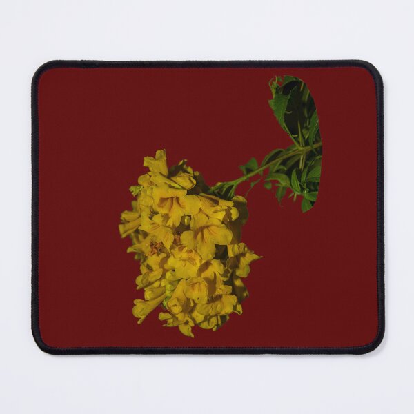 Item preview, golden trumpet designed and sold by David SINIGAGLIA.
