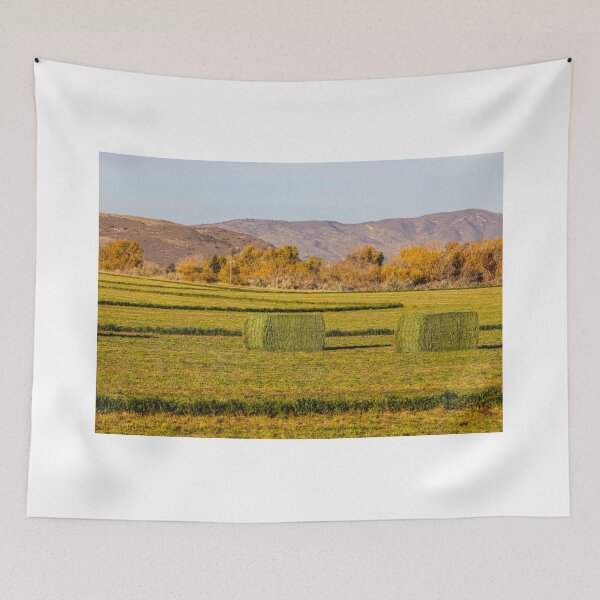 Item preview, Fall On The Farm designed and sold by FreelanceJim.