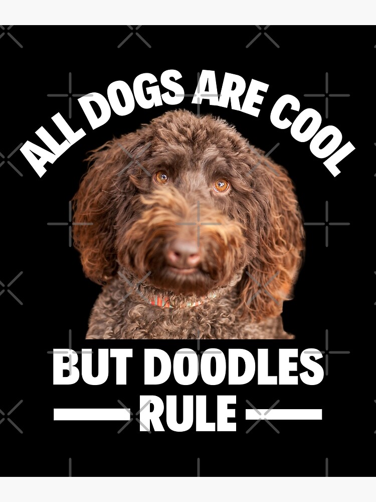 Dogs Are Cool