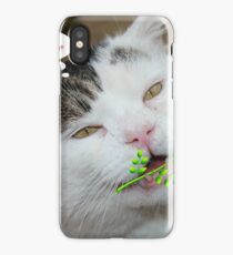 Butch Valentines iPhone Case