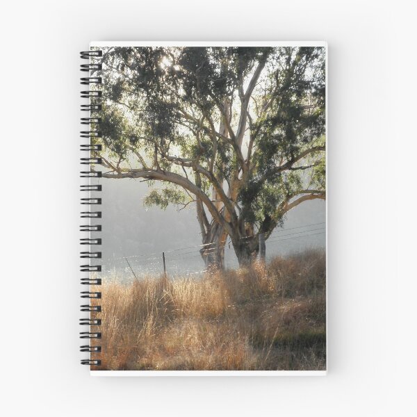 Item preview, Gum Tree in the Morning Light, Tumut, Australia. designed and sold by kaysharp.