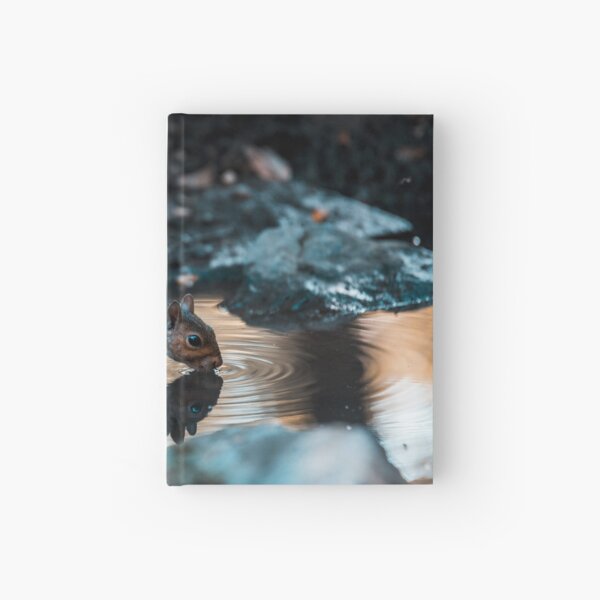 Item preview, Squirrel Water Reflection designed and sold by ep-pandality.