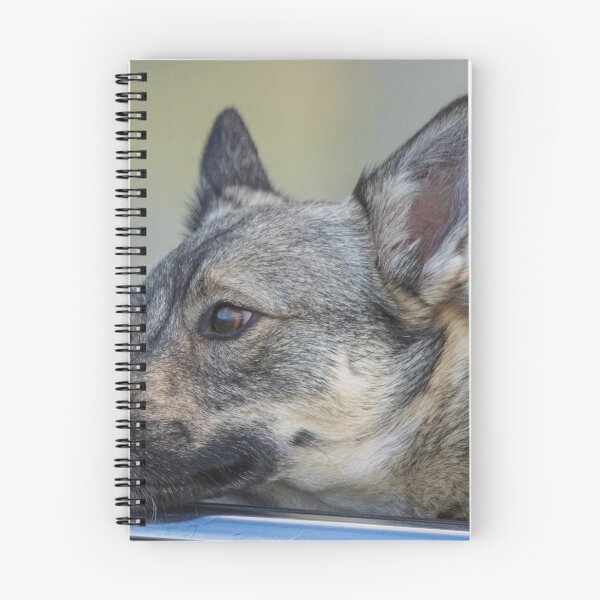 Item preview, A Swedish Vallhund Looking Out The Car Window designed and sold by FreelanceJim.