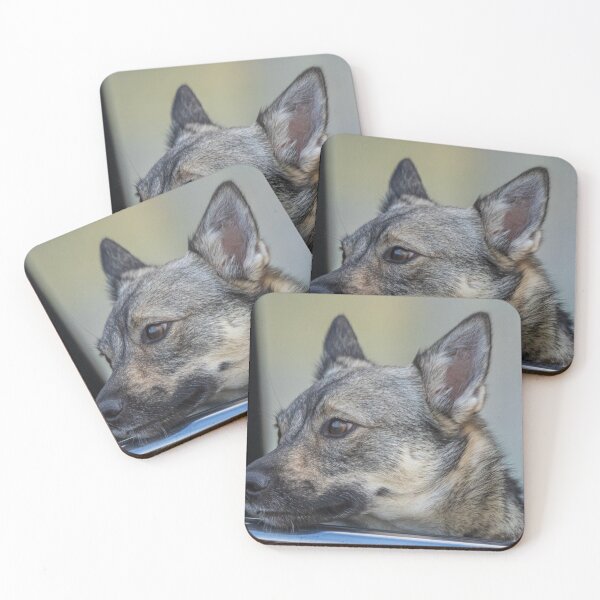 Item preview, A Swedish Vallhund Looking Out The Car Window designed and sold by FreelanceJim.