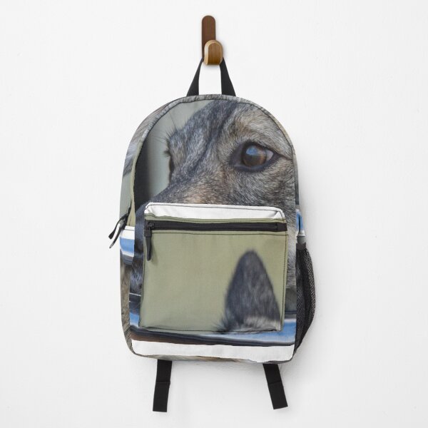 Item preview, A Swedish Vallhund Looking Out The Car Window designed and sold by FreelanceJim.