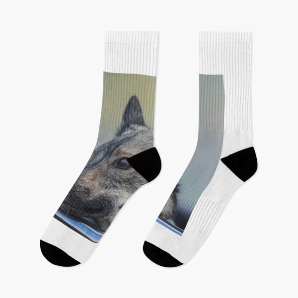 Item preview, A Swedish Vallhund Looking Out The Car Window designed and sold by FreelanceJim.