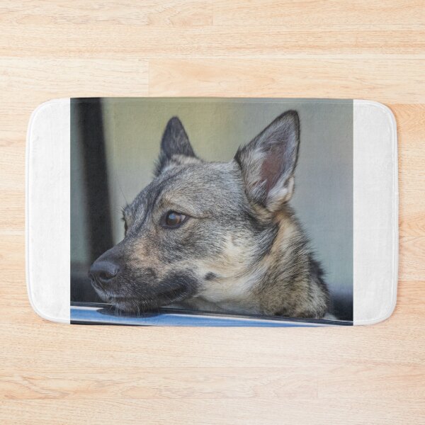 Item preview, A Swedish Vallhund Looking Out The Car Window designed and sold by FreelanceJim.