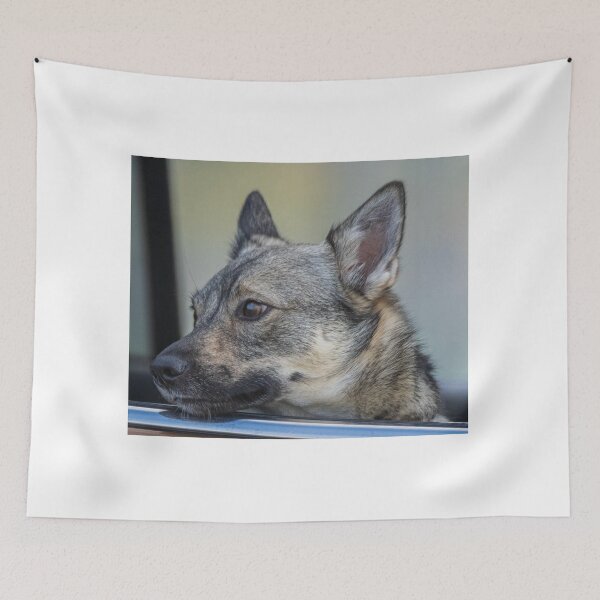 Item preview, A Swedish Vallhund Looking Out The Car Window designed and sold by FreelanceJim.