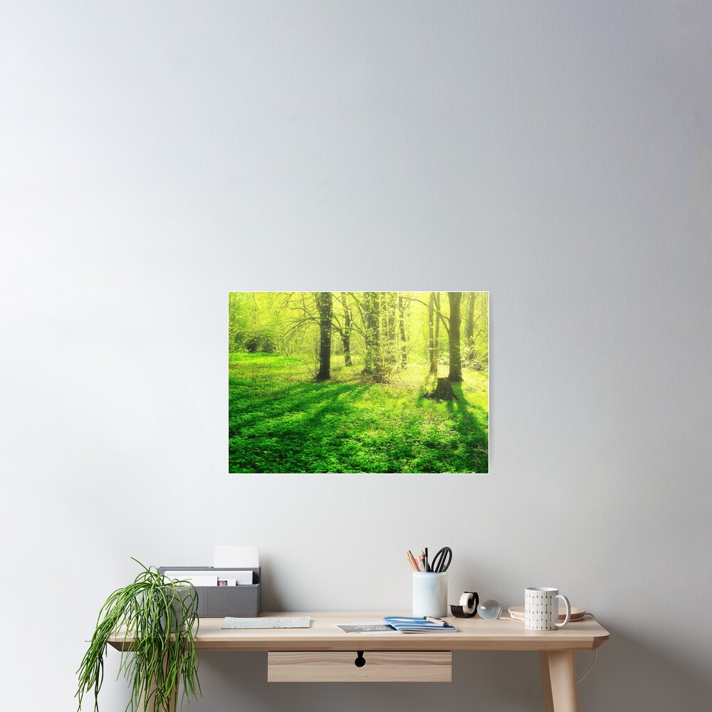 Item preview, Poster designed and sold by Mallorn.