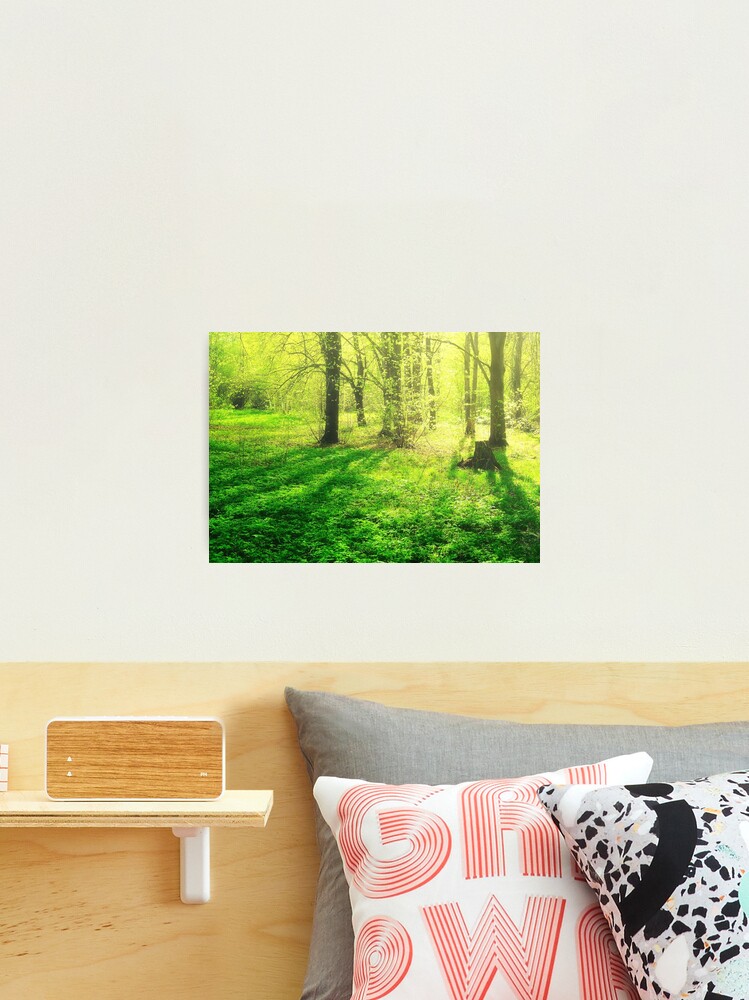 Thumbnail 2 of 3, Photographic Print, Forest Glow designed and sold by Mallorn.