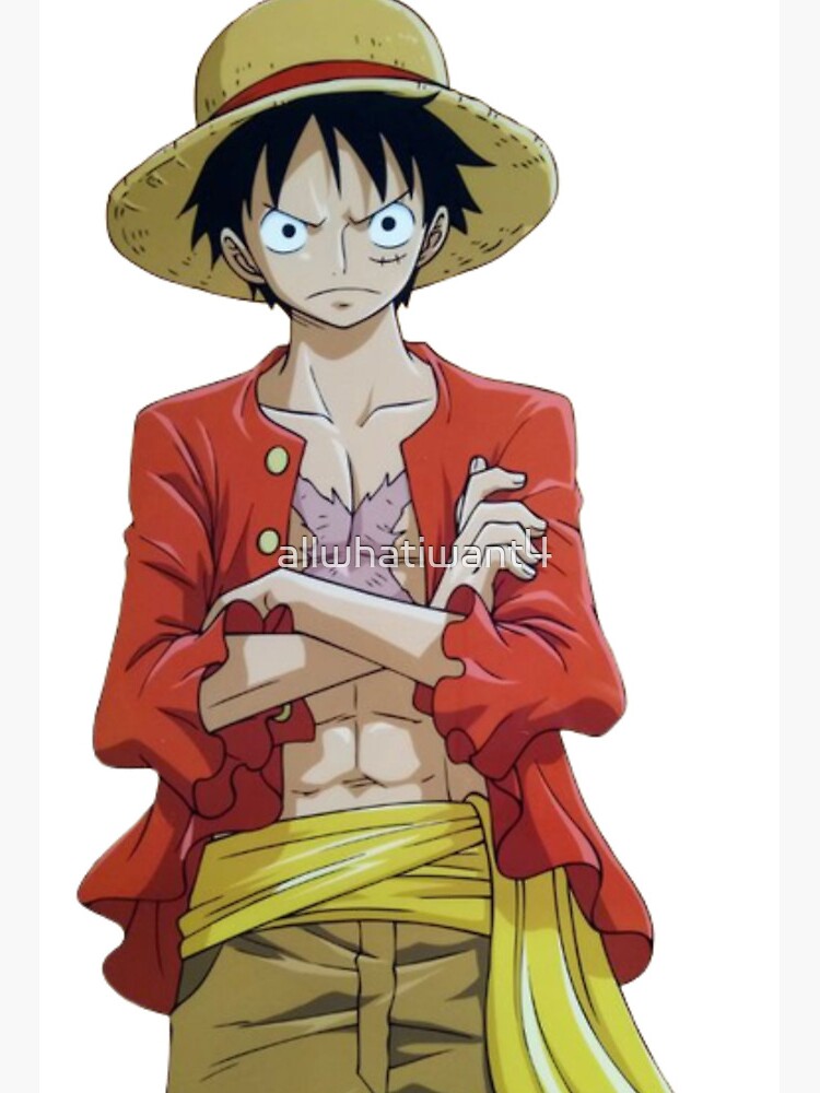 One Piece Monkey D Luffy Gift Set