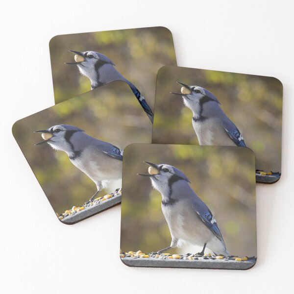 Item preview, A Blue Jay Swallowing A Peanut designed and sold by FreelanceJim.