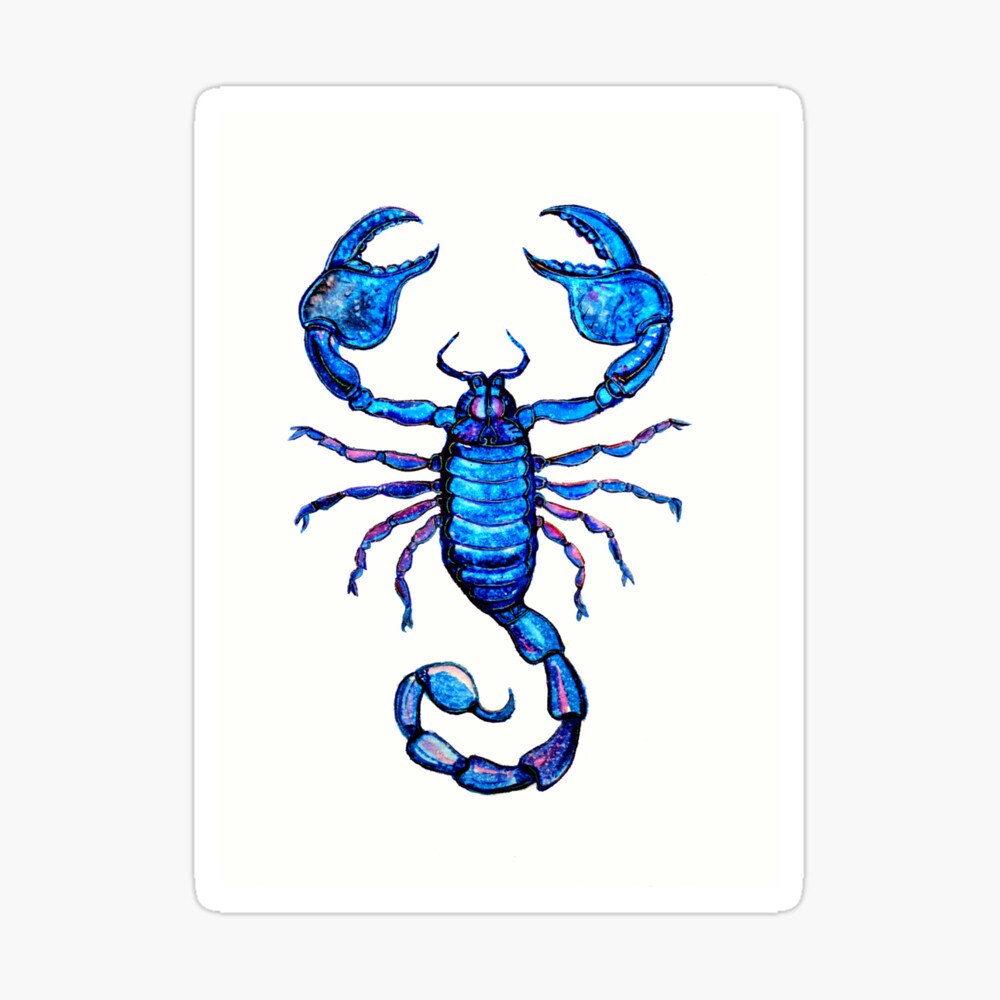 Sleek Tribal Scorpion Cobalt - Openclipart