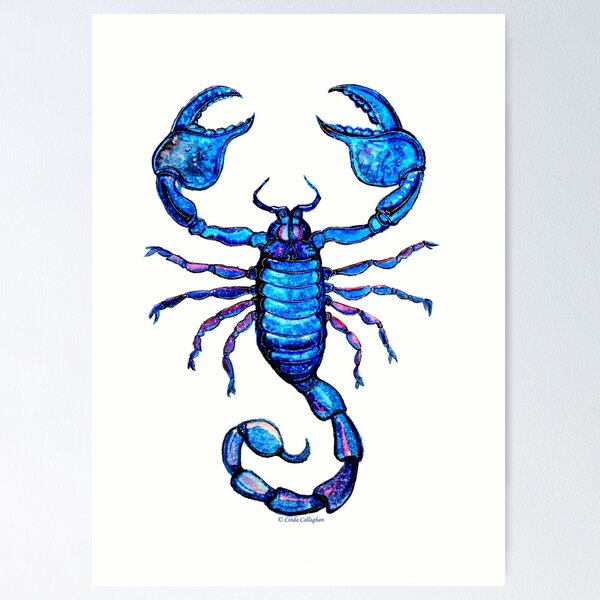 Scorpion tattoo Cut Out Stock Images & Pictures - Alamy