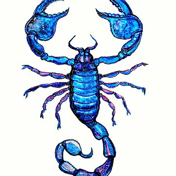 Fake Scorpion Tattoo Semi Permanent Temporary Tattoos, 6-Sheet Long Last  Waterproof Scorpion Tattoos, 100% Plant-Based Ink Infinity Realistic  Halloween Tattoos Sticker for Adult Children