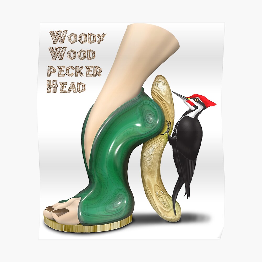 woodpecker shoes