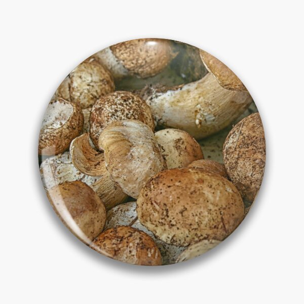 Item preview, Porcini mushrooms designed and sold by Photopat.