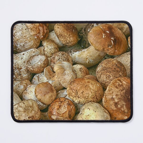Item preview, Porcini mushrooms designed and sold by Photopat.