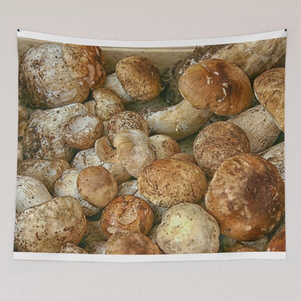 Item preview, Porcini mushrooms designed and sold by Photopat.