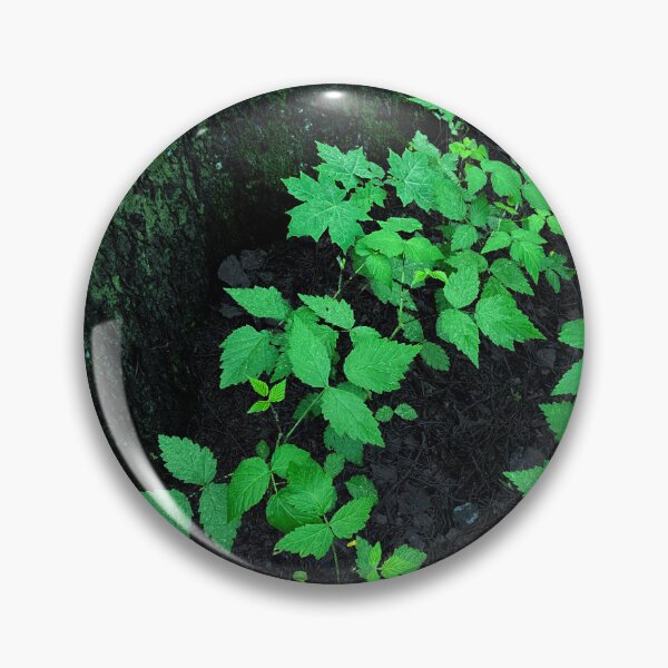 Item preview, Dark night forest with green leaves on the ground designed and sold by Azaswi.