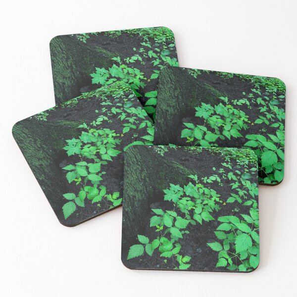 Item preview, Dark night forest with green leaves on the ground designed and sold by Azaswi.