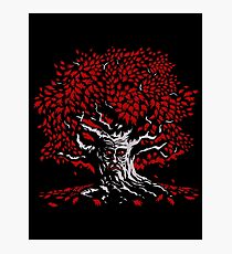 Winterfell Weirwood Photographic Print