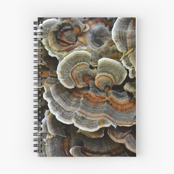 Item preview, Turkey Tail designed and sold by PlaidPancakes.