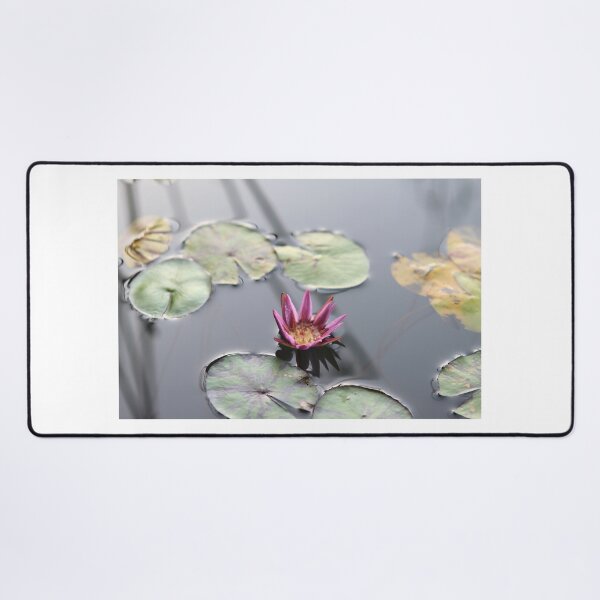 Item preview, Water Lily at Nyungwe Forest Lodge designed and sold by Marc BF.