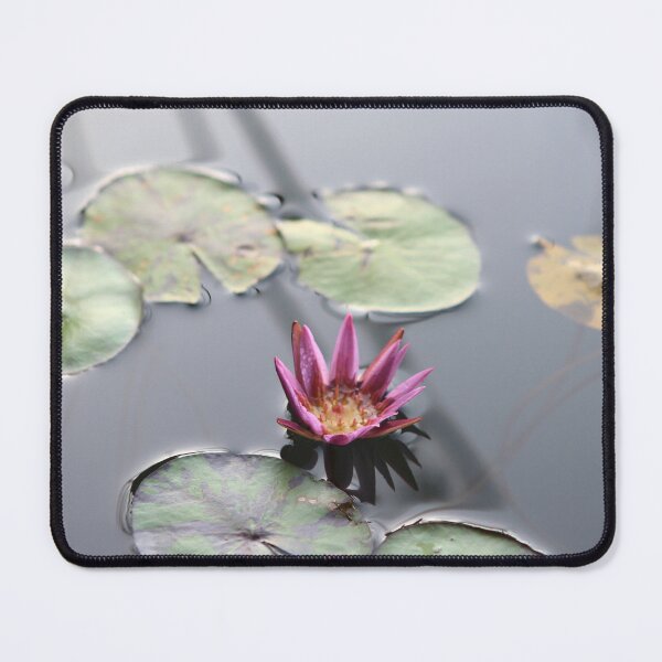 Item preview, Water Lily at Nyungwe Forest Lodge designed and sold by Marc BF.